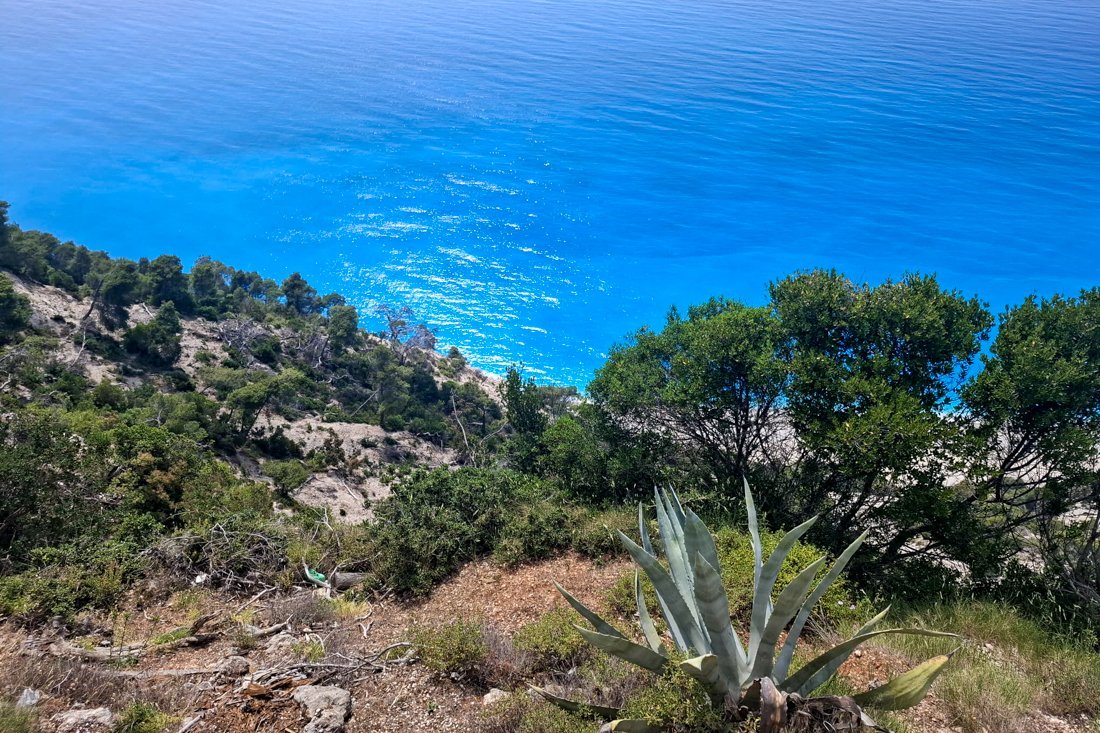 25001583_ak_25_fw (2).jpg