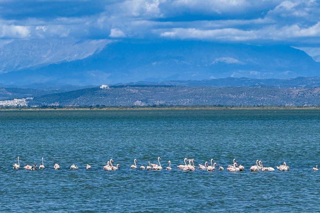 25002098_ak_ambracische golf_25_fw.jpg