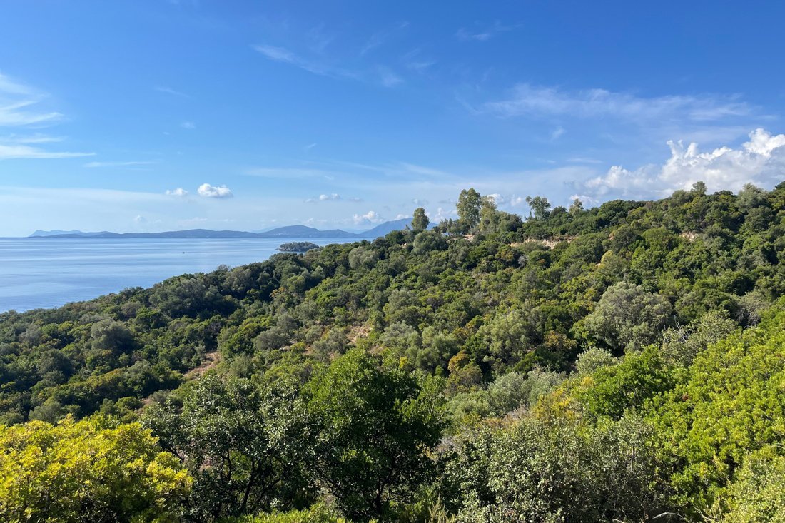 25002973_ak_pogonia vathiavali_25_fw.jpg