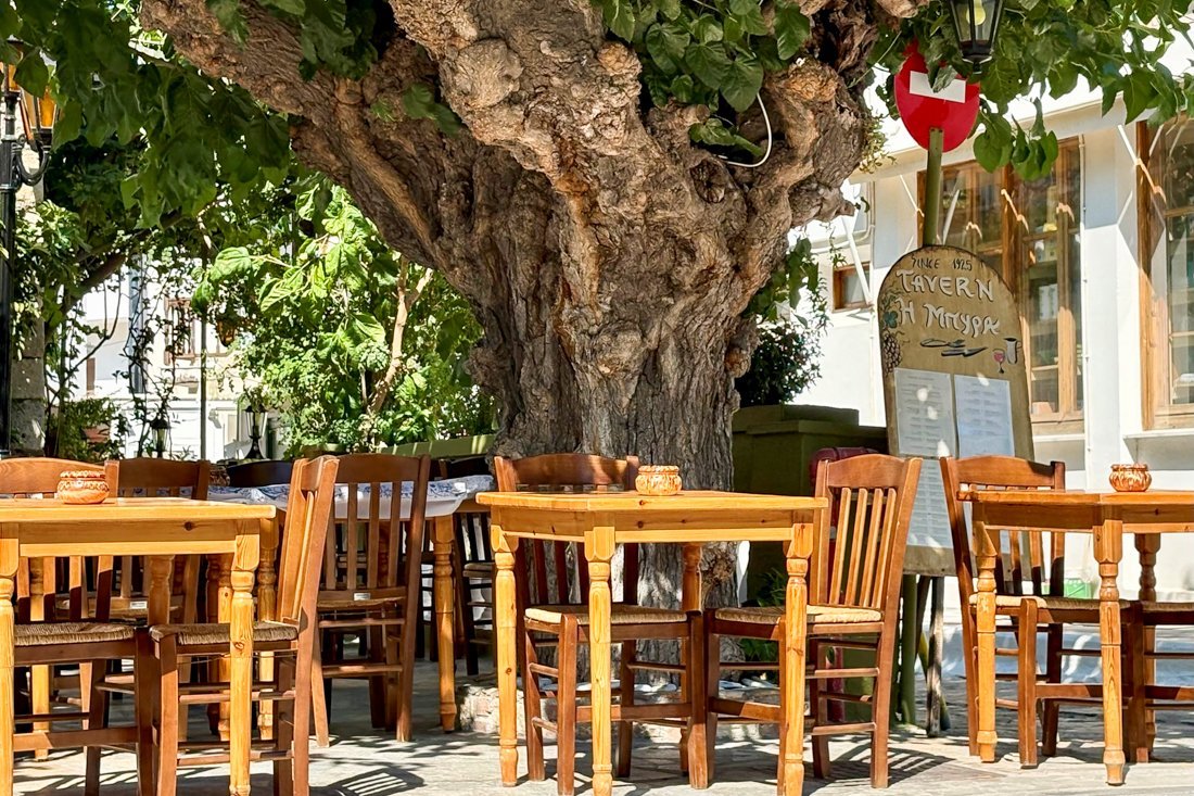 25002114_sa_kokkari_25_fw 2.jpg