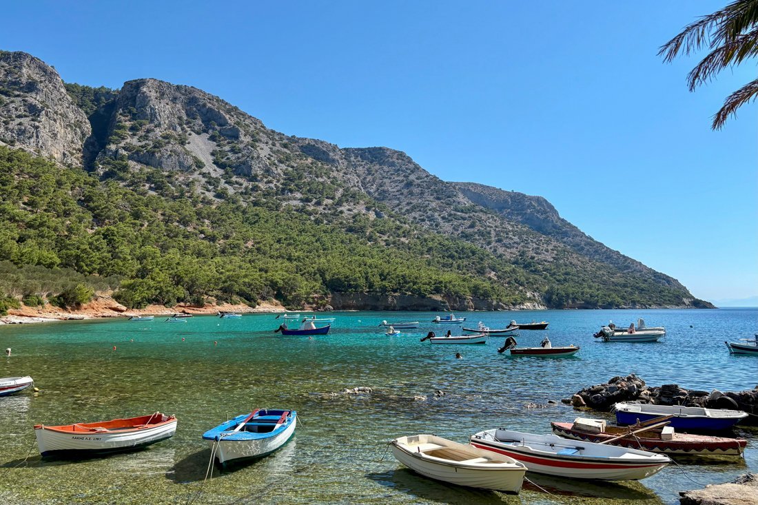 25002114_sa_mourtia_25_fw 2.jpg