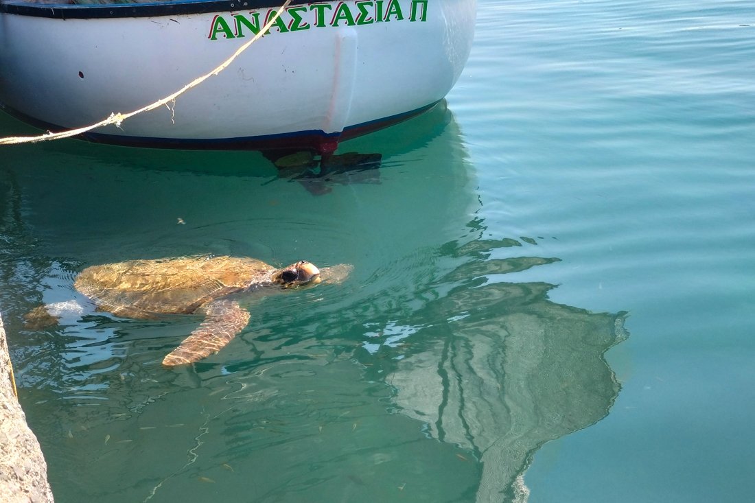 25002209_pe_kyparissia haven_25_fw.jpg