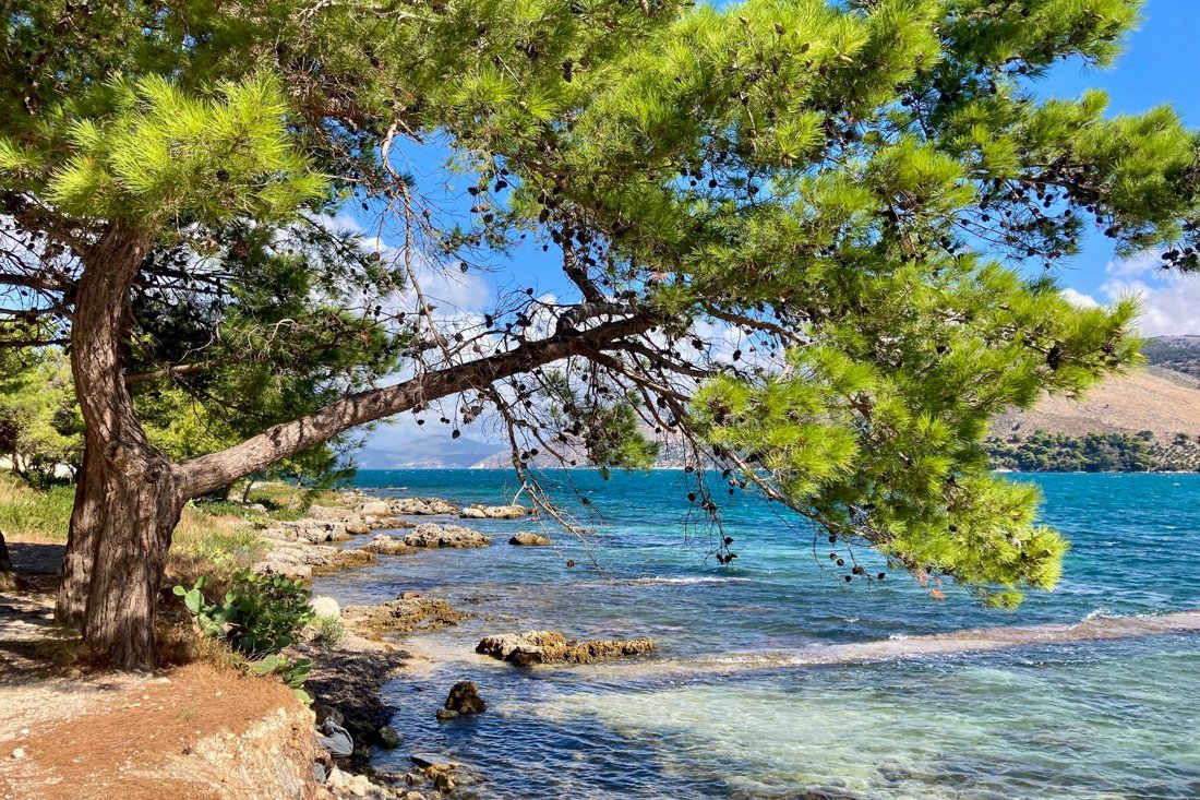 25002394_kf_25_fw (3).jpg