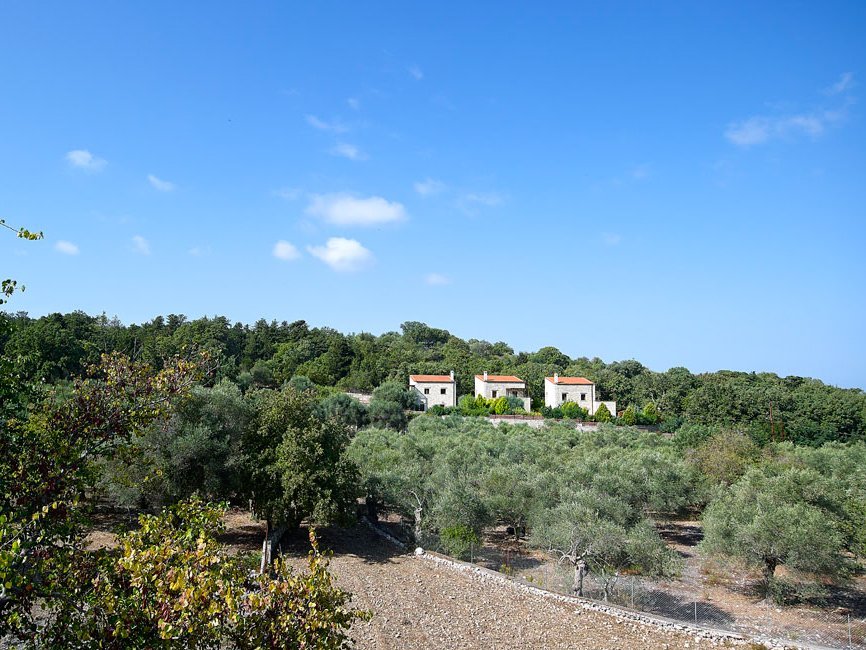 vederi estate, vederi, rethymnon op kreta