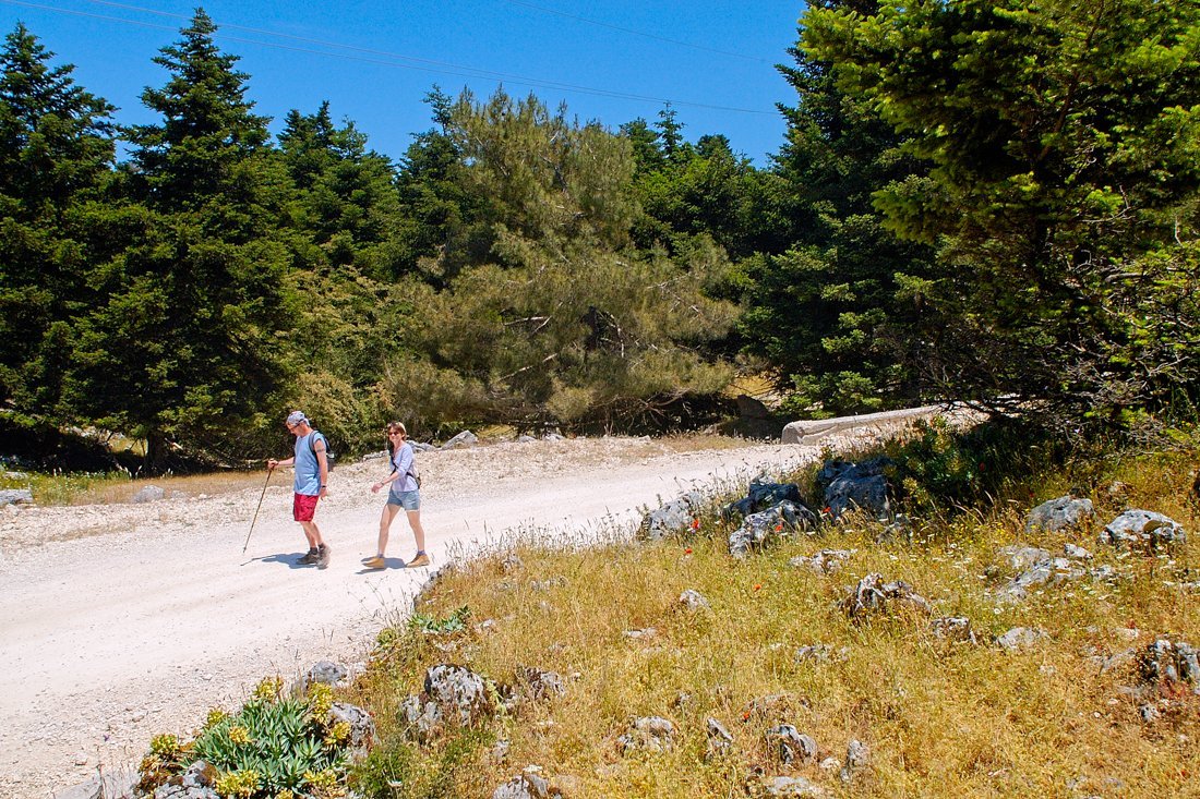 het nationale park aenos-gebergte op kefalonia, griekenland