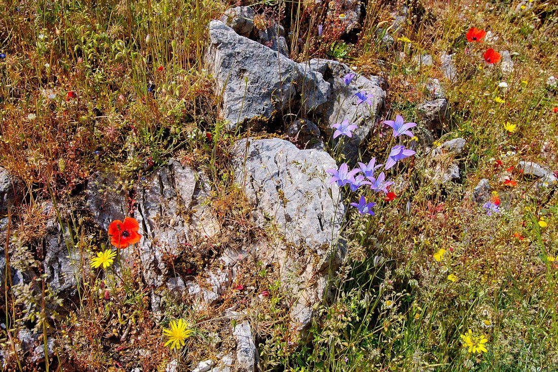 het nationale park aenos-gebergte op kefalonia, griekenland