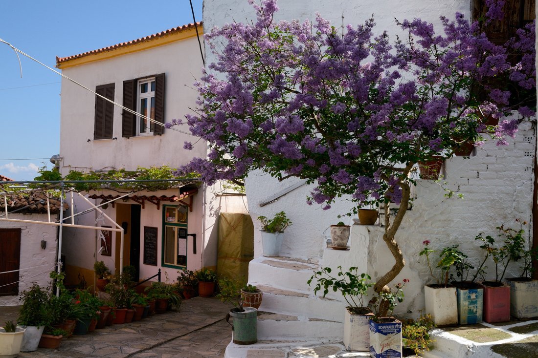 vakantie griekenland, bestemming samos