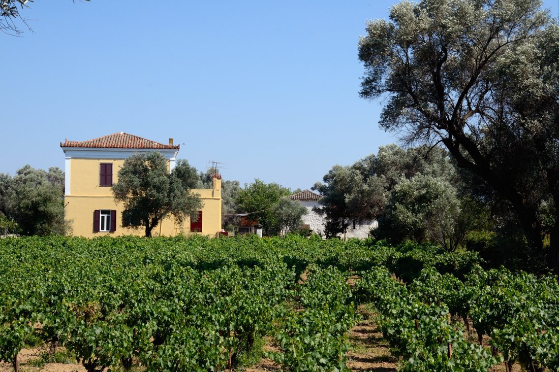 vakantie griekenland, bestemming evia