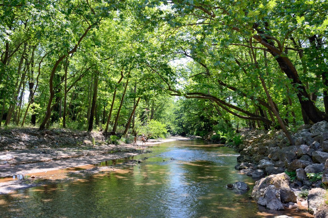 vakantie griekenland, bestemming evia