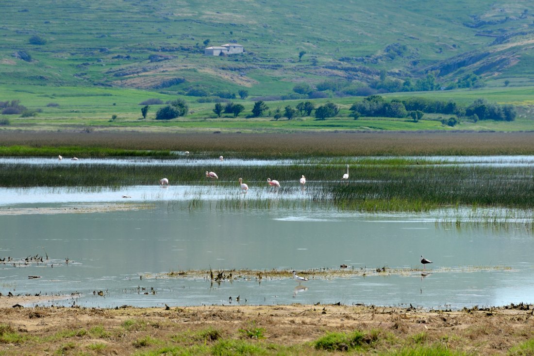 vakantie griekenland, bestemming limnos