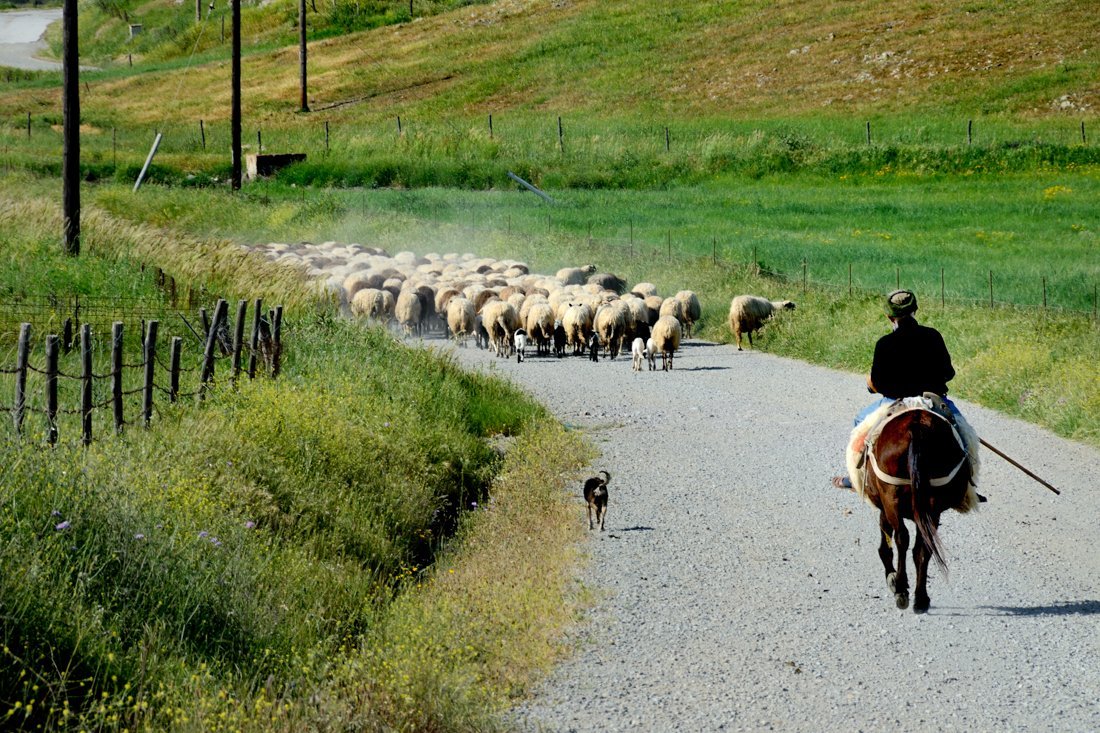 vakantie griekenland, bestemming limnos