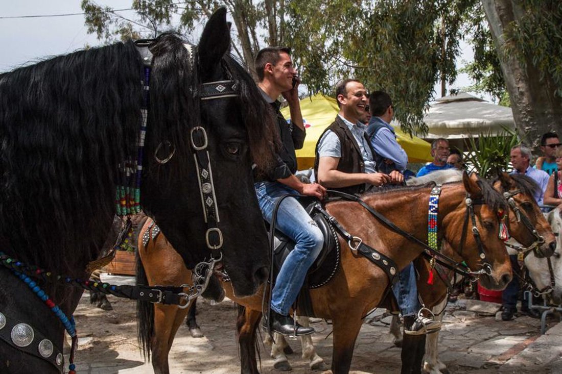 Kala Nera Paardenfestival