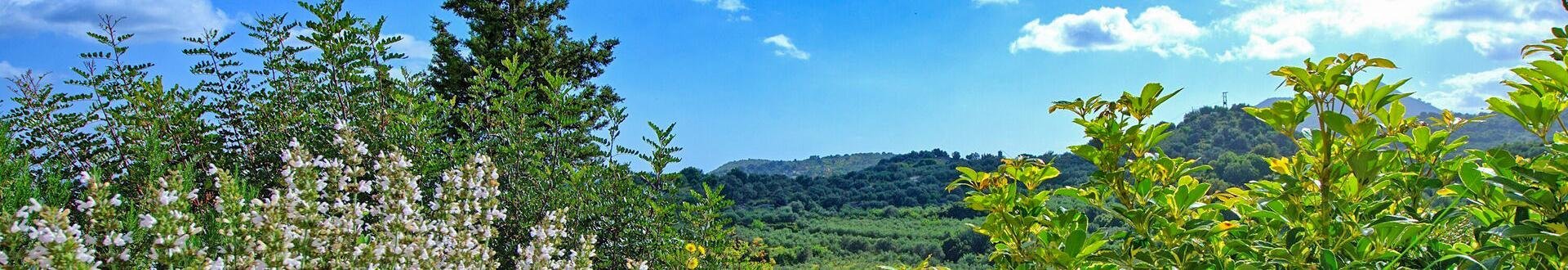 Het dorp Embrosneros op West-Kreta