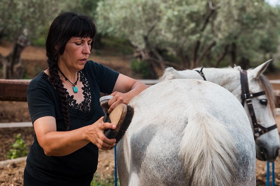 Paardenexcursie Milies Pilion