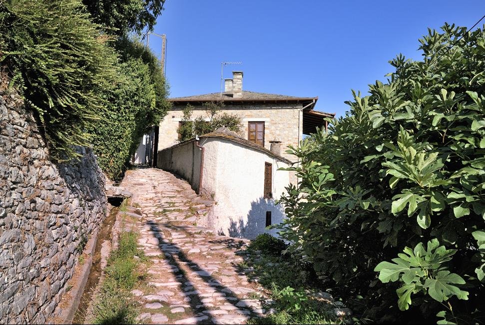 Paardenexcursie Milies Pilion