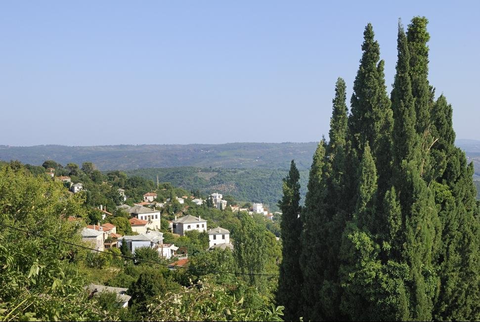 Paardenexcursie Milies Pilion