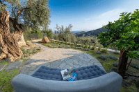 Old Olive Villa Pilion