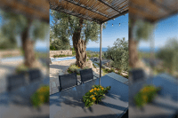 Old Olive Villa Pilion