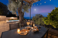 Old Olive Villa Pilion